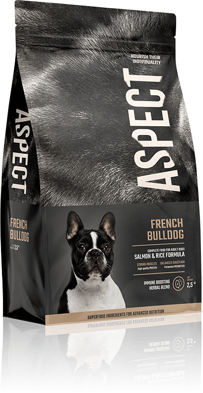 French bulldog