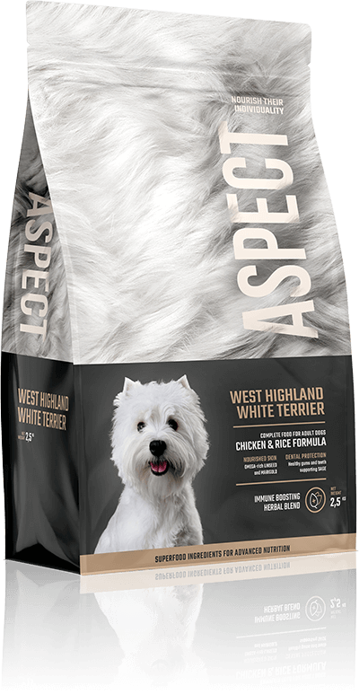 West Highland White Terrier