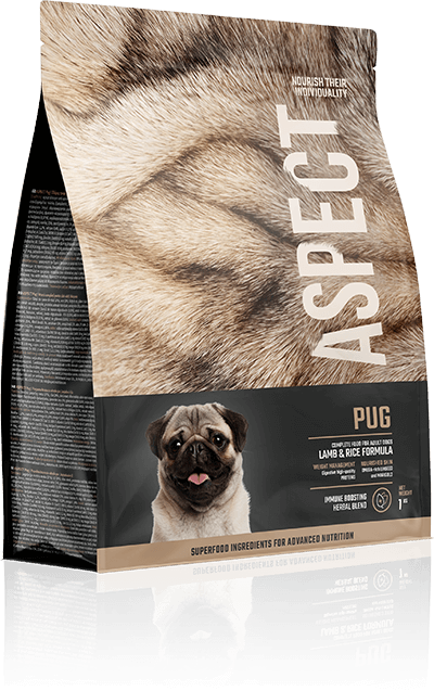 Pug