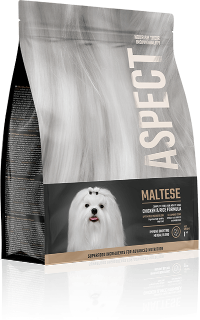 Maltese