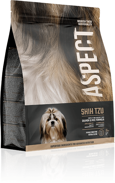 Shih Tzu